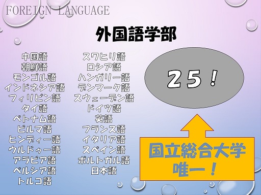 勝負の夏、到来！！（阪大外語の紹介あり）